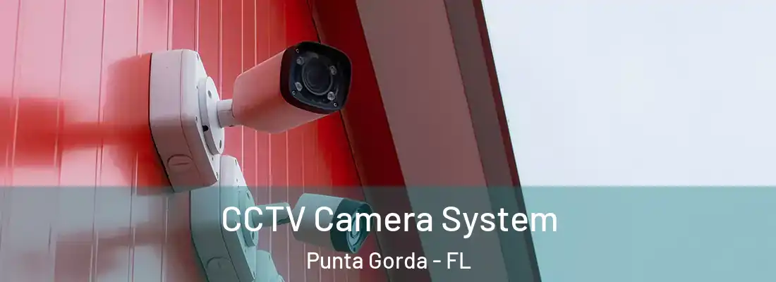  CCTV Camera System Punta Gorda - FL
