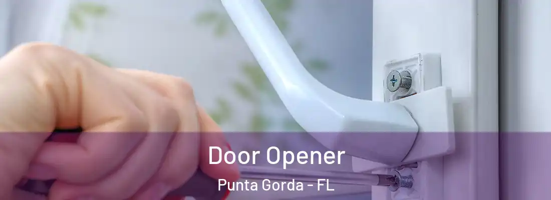  Door Opener Punta Gorda - FL