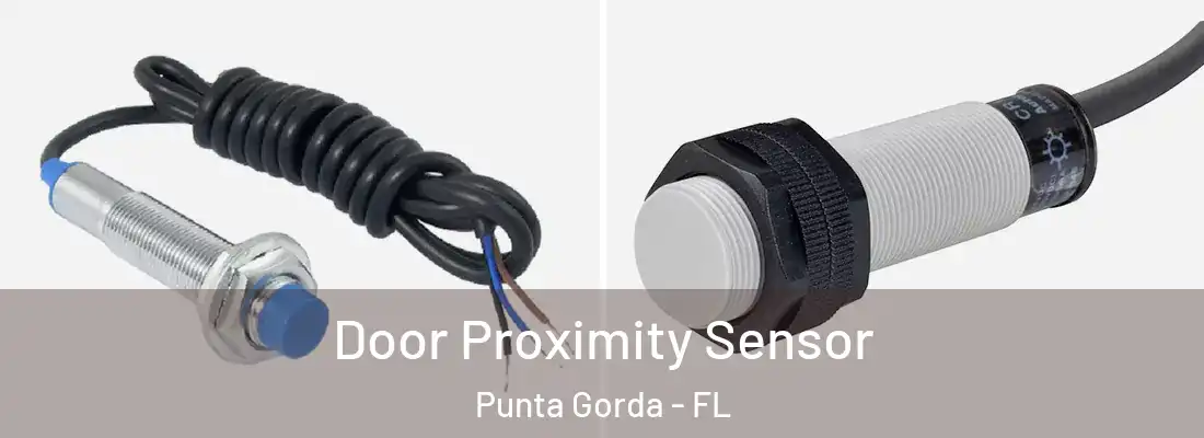  Door Proximity Sensor Punta Gorda - FL