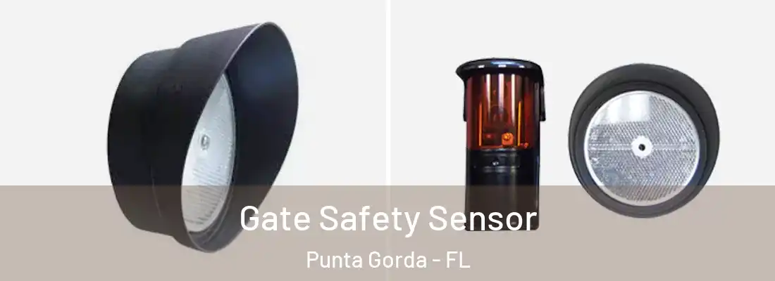  Gate Safety Sensor Punta Gorda - FL