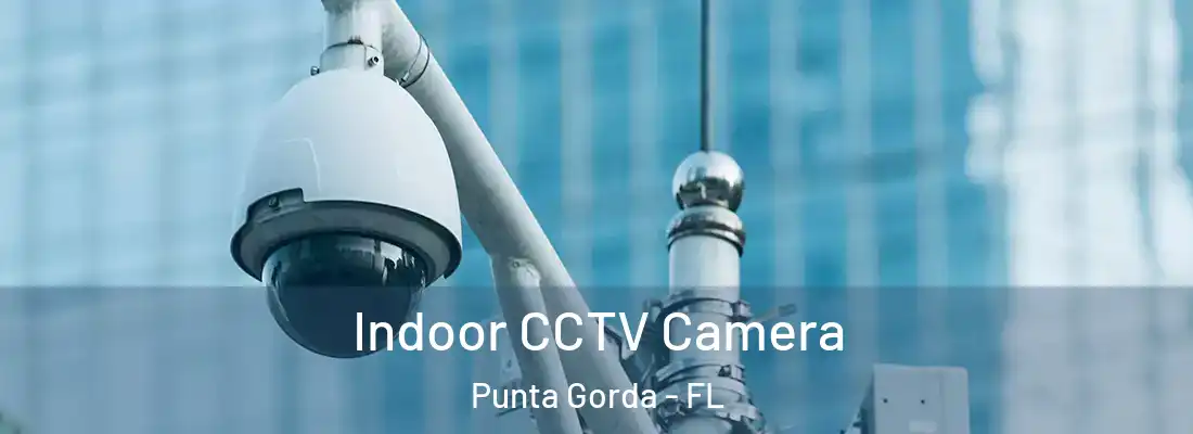  Indoor CCTV Camera Punta Gorda - FL