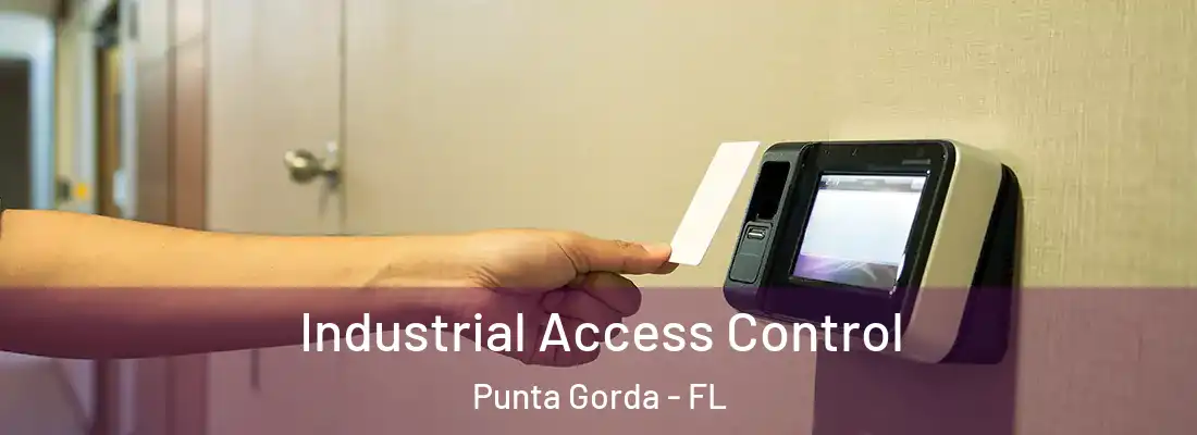  Industrial Access Control Punta Gorda - FL