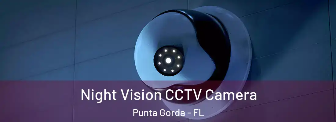  Night Vision CCTV Camera Punta Gorda - FL