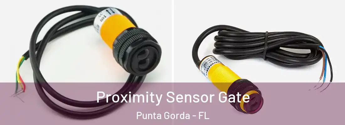  Proximity Sensor Gate Punta Gorda - FL